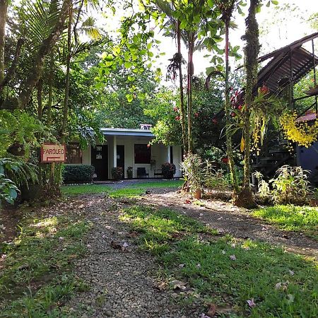 Hotel Casona Tica Linda Sarapiquí Exterior foto